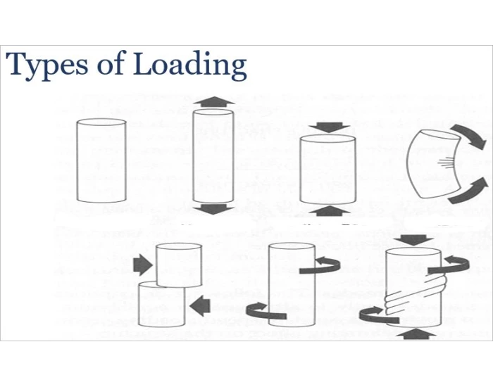 Types of bone loading — Printable Worksheet