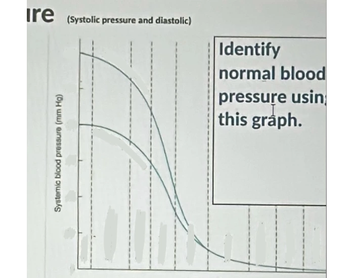 Bo graph Quiz