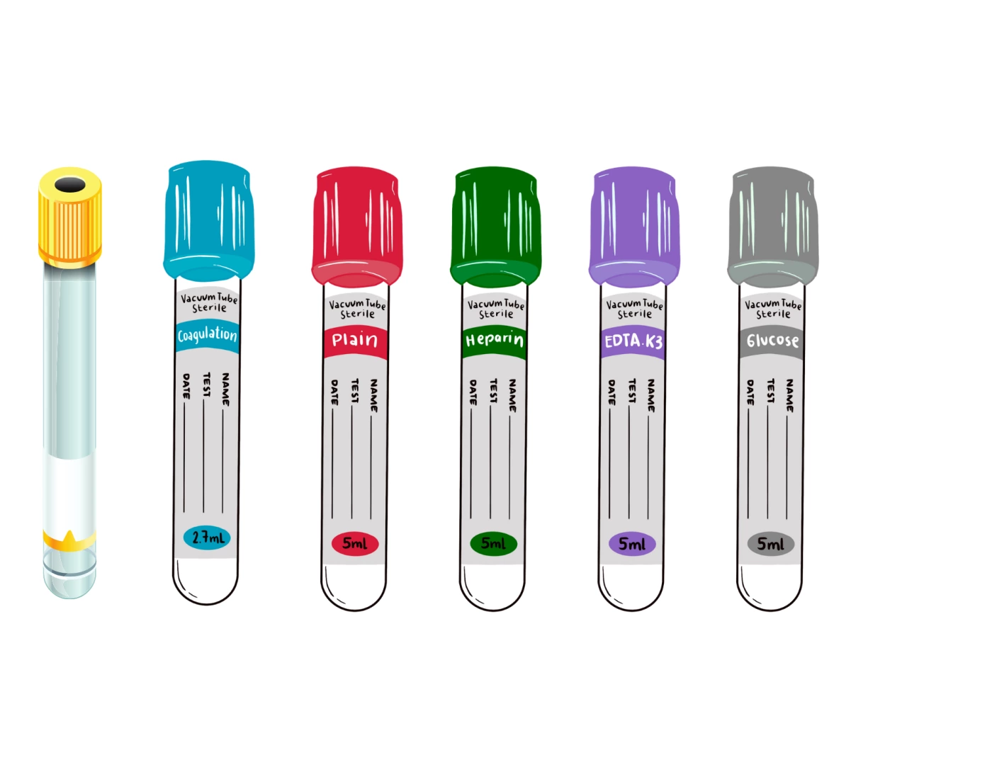 Test Tubes & Test — Printable Worksheet