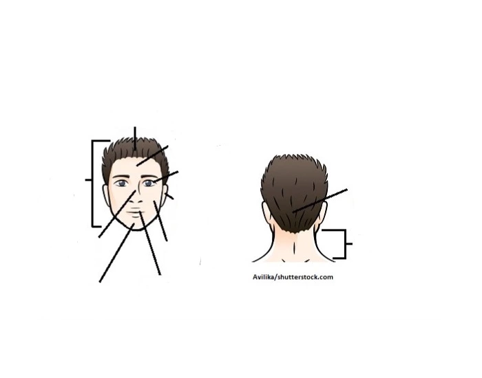 Head & Neck Regional Terms Quiz