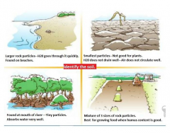 Types of Soils