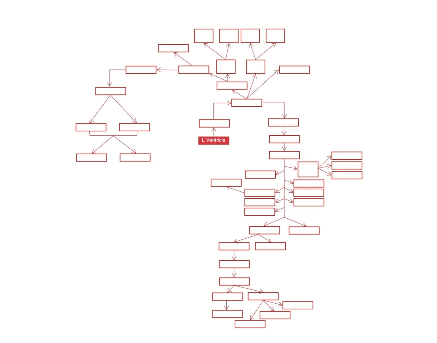 Bgs Flow Chat Human Artery Flowchart Quiz