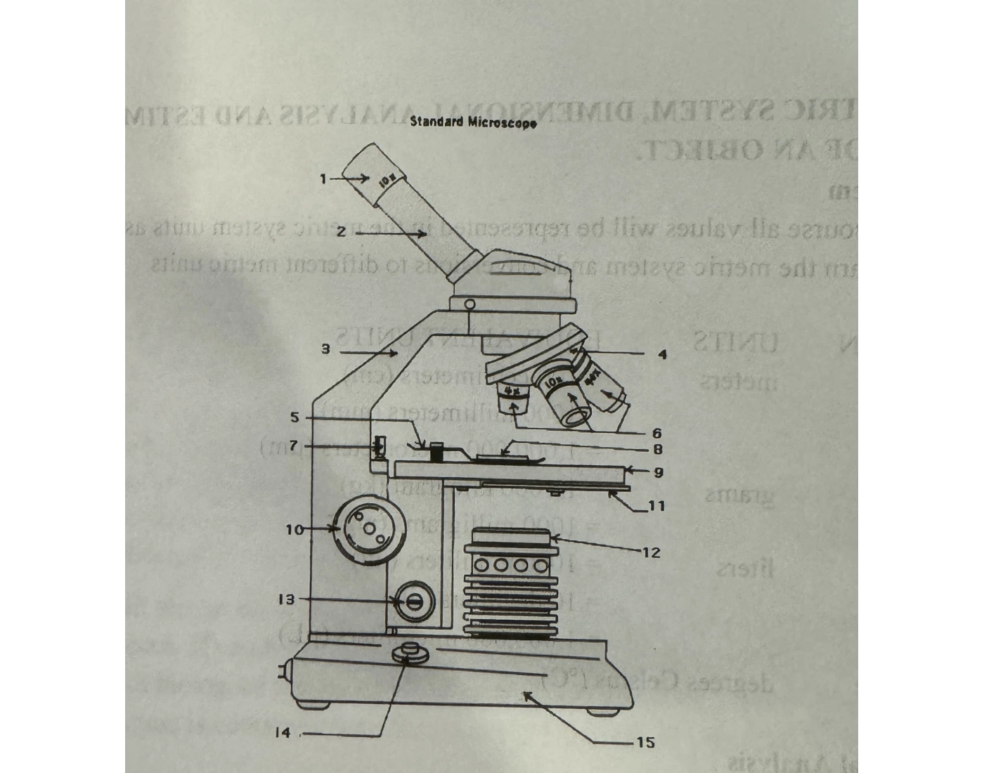 Microscope Anatomy Physio Printable Worksheet Microscope anatomy physio printable worksheet