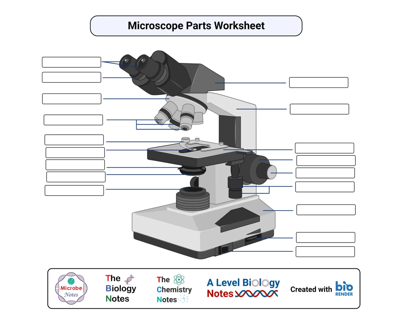 Microscope Parts Quiz