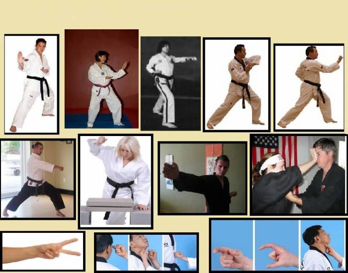 Hand Attack Taekwondo Hand Attacks Quiz
