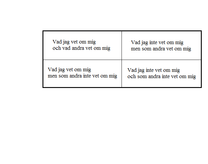 Johari Window Printable Worksheet
