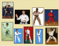 Taekwondo Blocks (Makgi)