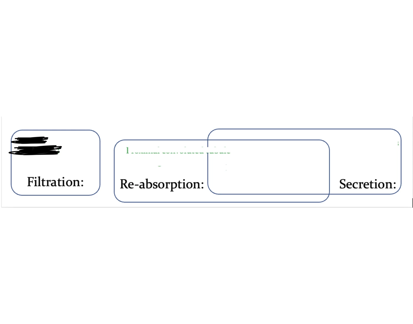 Absorb Game exam 4 - secret filtration re-absorption (game 7) Quiz