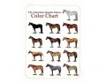 Quarter Horse Coat Colors