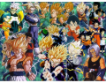 Dragon Ball Z Main Characters (not all of them)