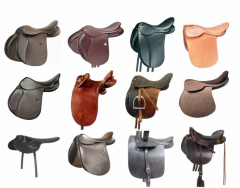Types of English Horse Saddles