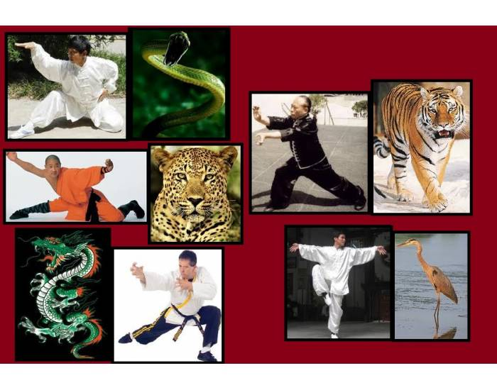 martial arts animal stances