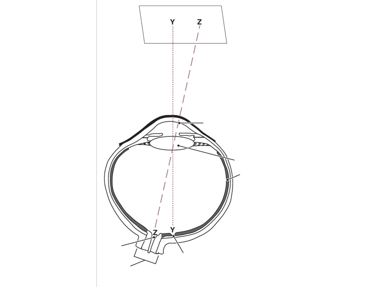 Visual View Visual views Quiz