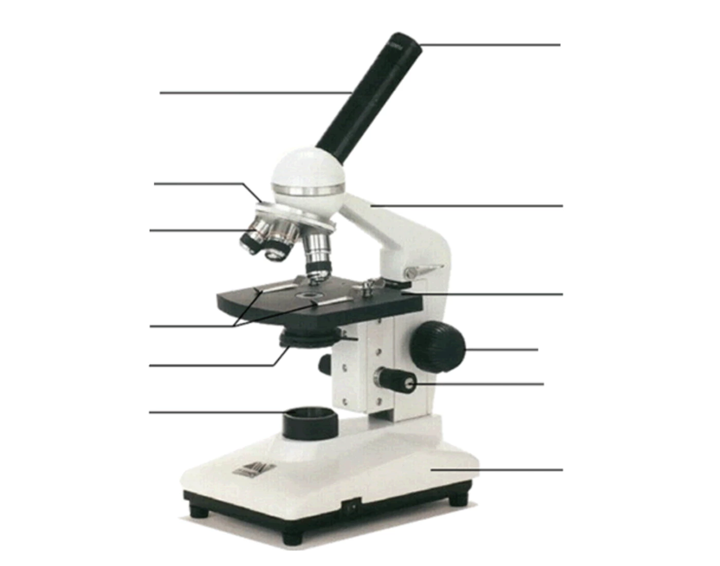 Practice Microscope Microscope Labelling Practice Quiz