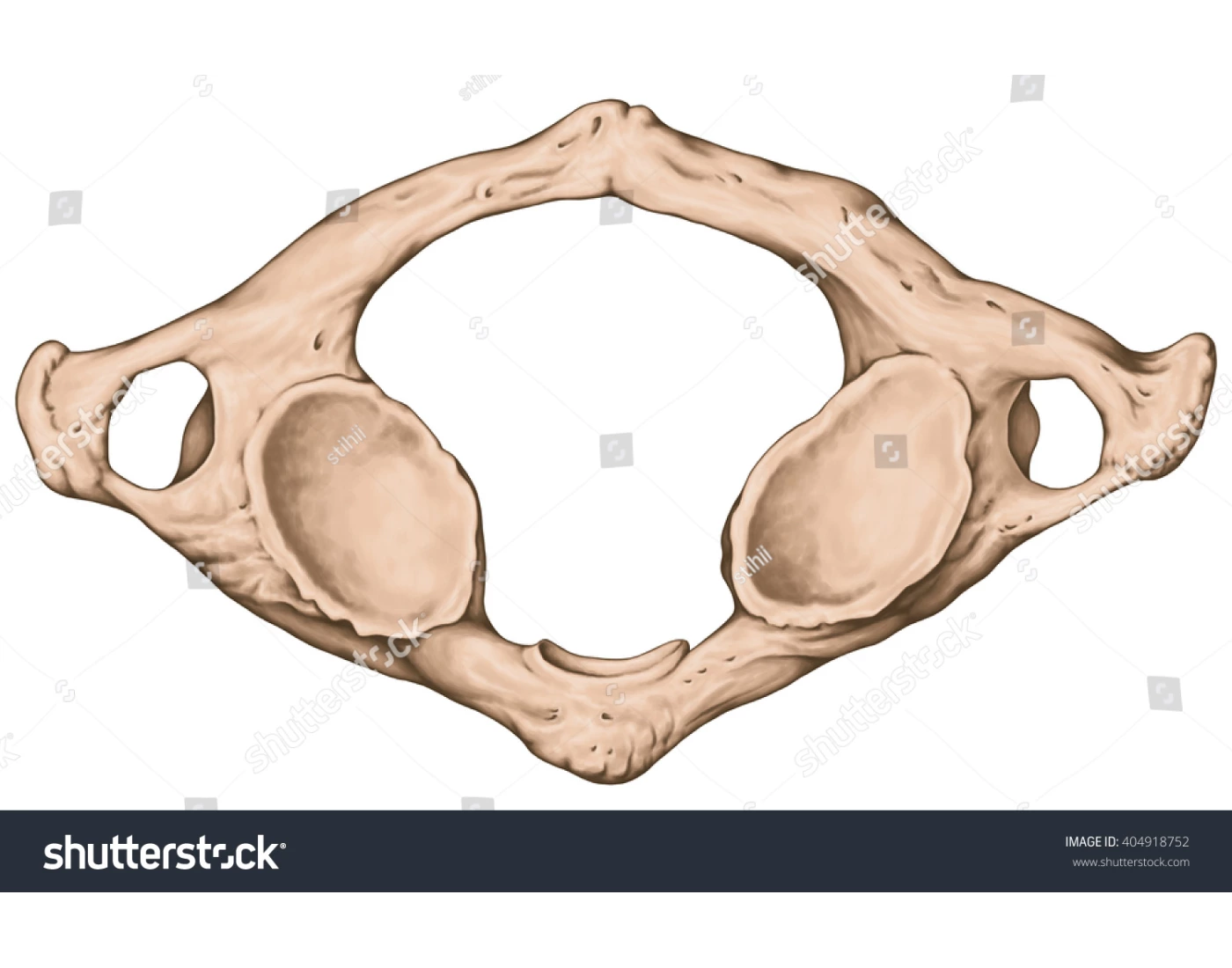 atlas markings Quiz