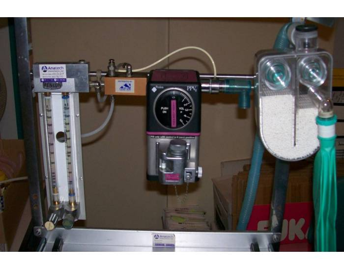 Basic GA MAchine Labeling Quiz