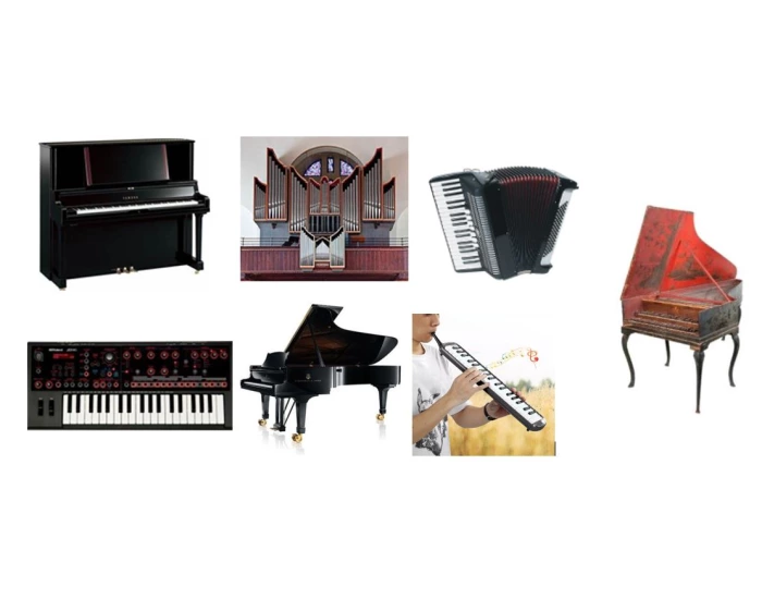 Tancy Instrument Tangentinstrument Quiz