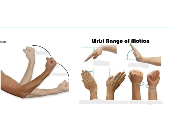 Wrist/Elbow Range of Motion — Printable Worksheet