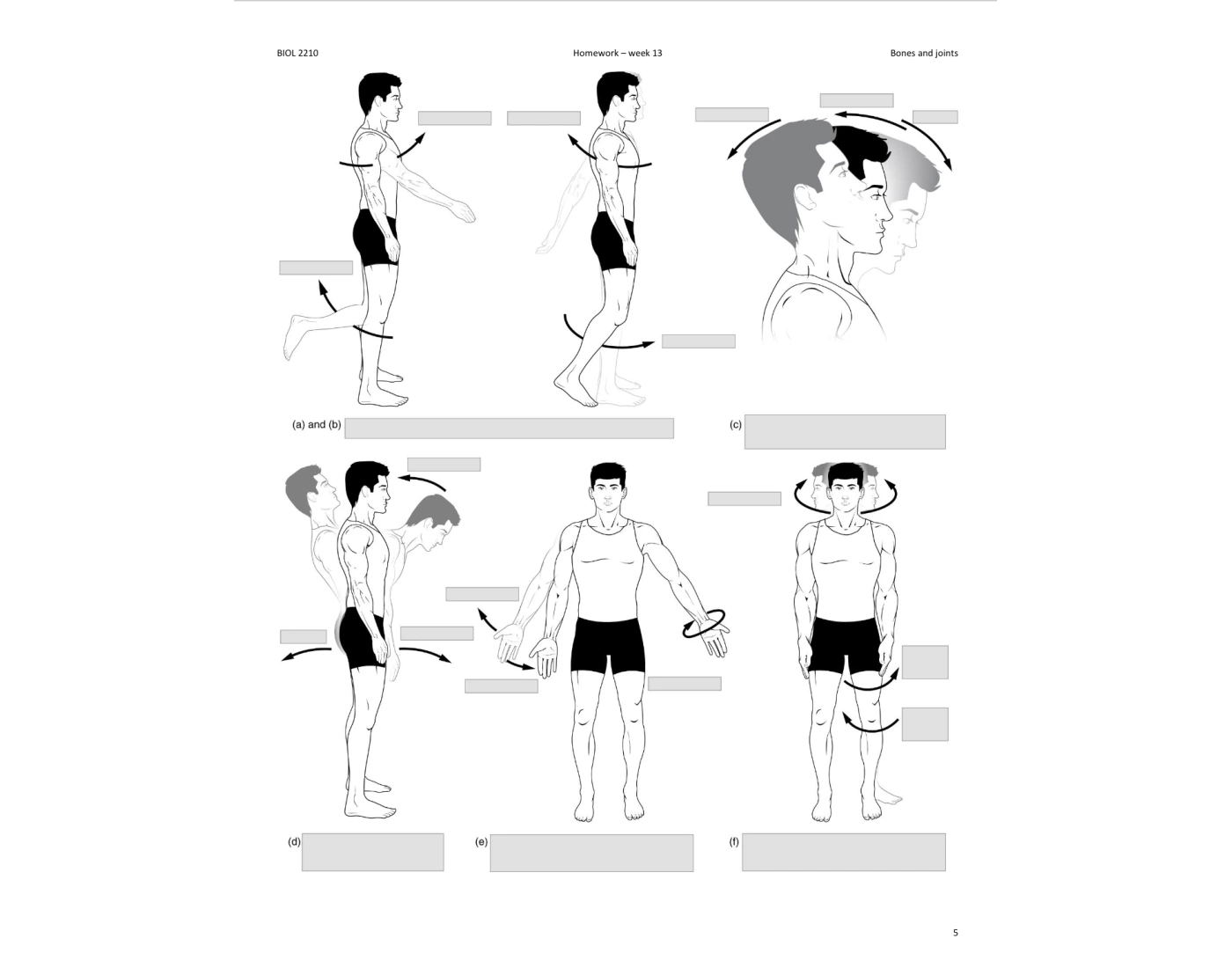 Worksheet Angular Javascript angular movements — Printable Worksheet