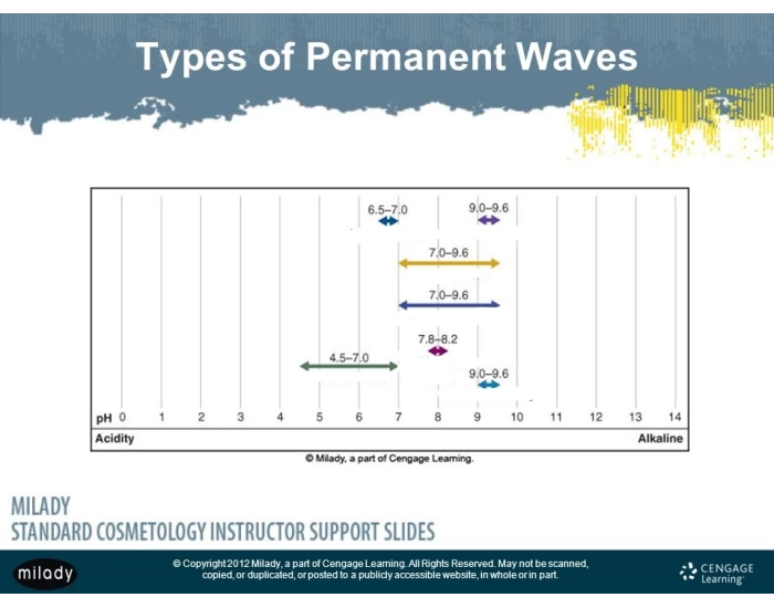 Types of permanent wave chart — Printable Worksheet