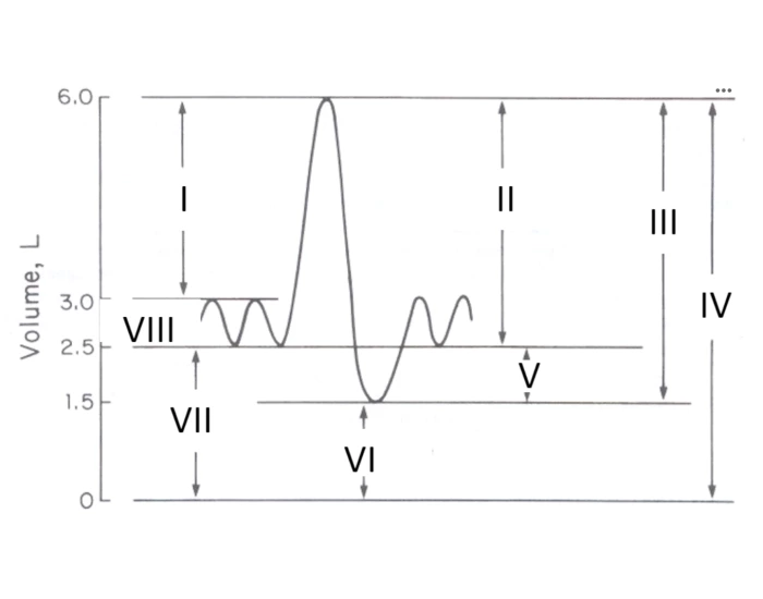 Spirometry Output — Printable Worksheet