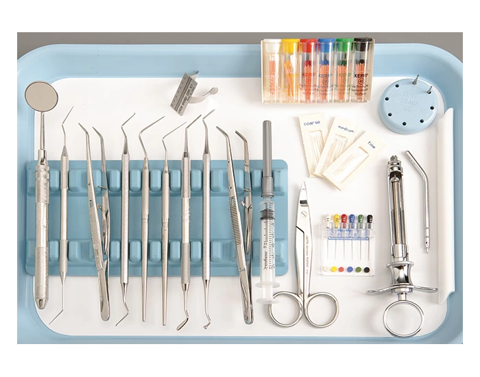 Endodontic Setup Sealing a Tooth for Endodontic Therapy Tray Set-Up — Printable Worksheet