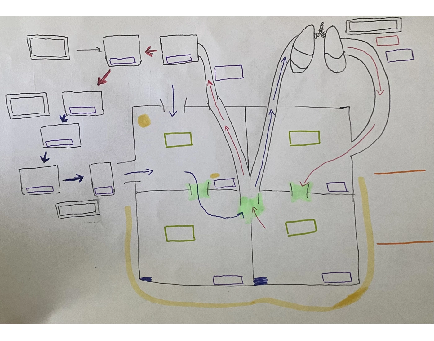 Heart Schematic 4 rooms and doors Quiz