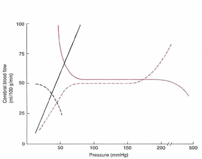 CBF Graph Quiz