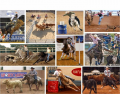 Gymkhana, Rodeo and Working Ranch Horse Events