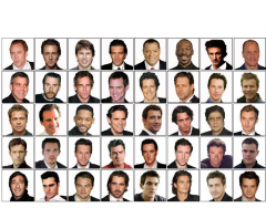Hollywood Stars 4 (actors born after 1960)