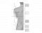 Spinal Nerves Quiz