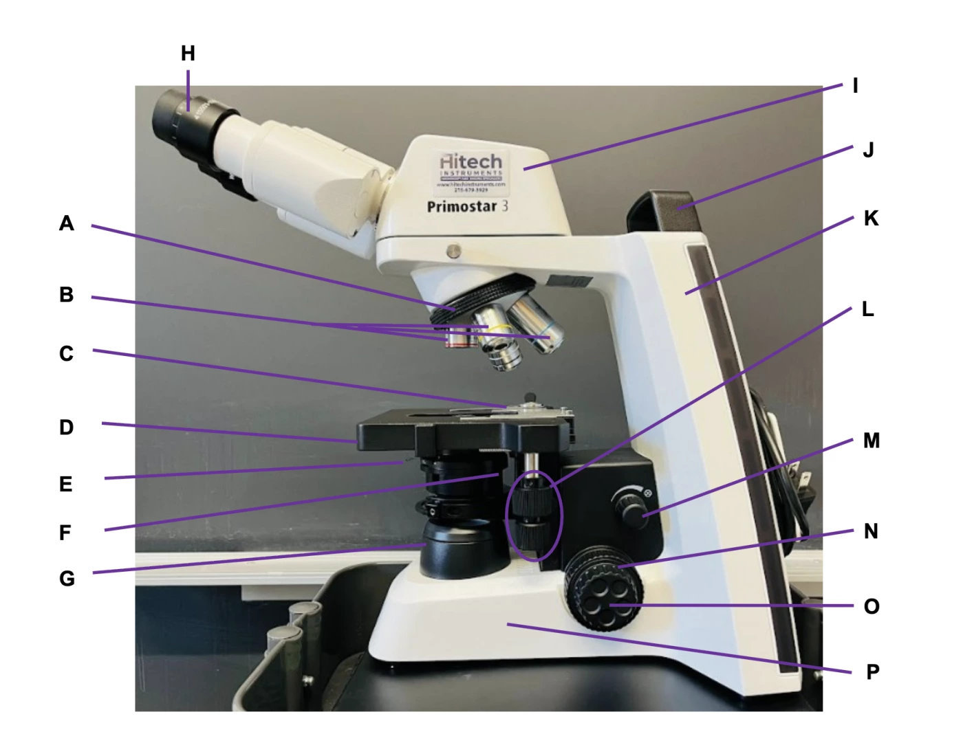 Microscope No Labeled microscope labelling Quiz