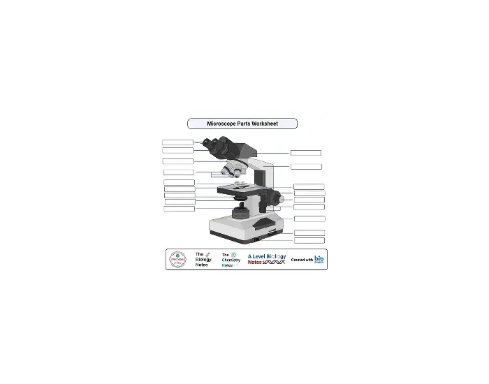 Microscope Parts Labeling — Printable Worksheet