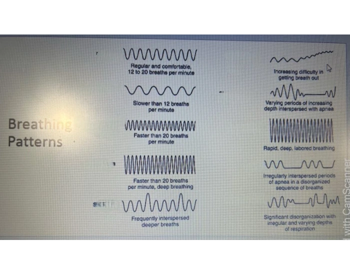 Diff Breathing Pattern Breathing Patterns Quiz
