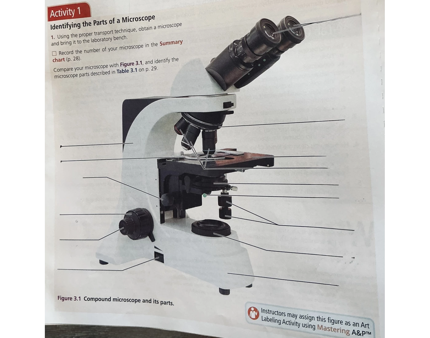 A&P Microscope Labeling — Printable Worksheet