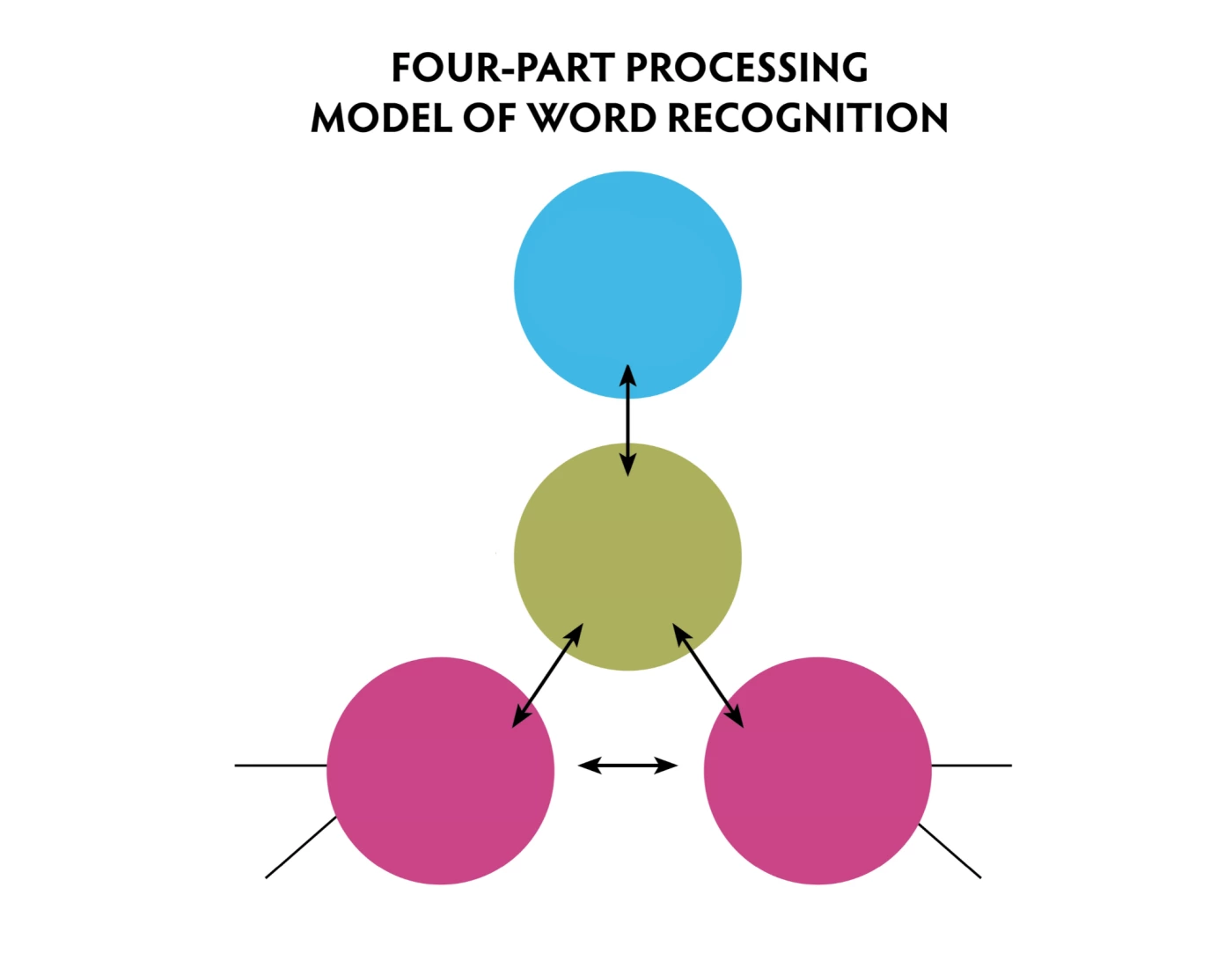 Four-Part Processing Model of Word Recognition — Printable Worksheet