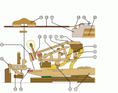 Grand Piano Mechanism