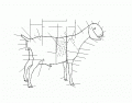 The parts of a meat goat