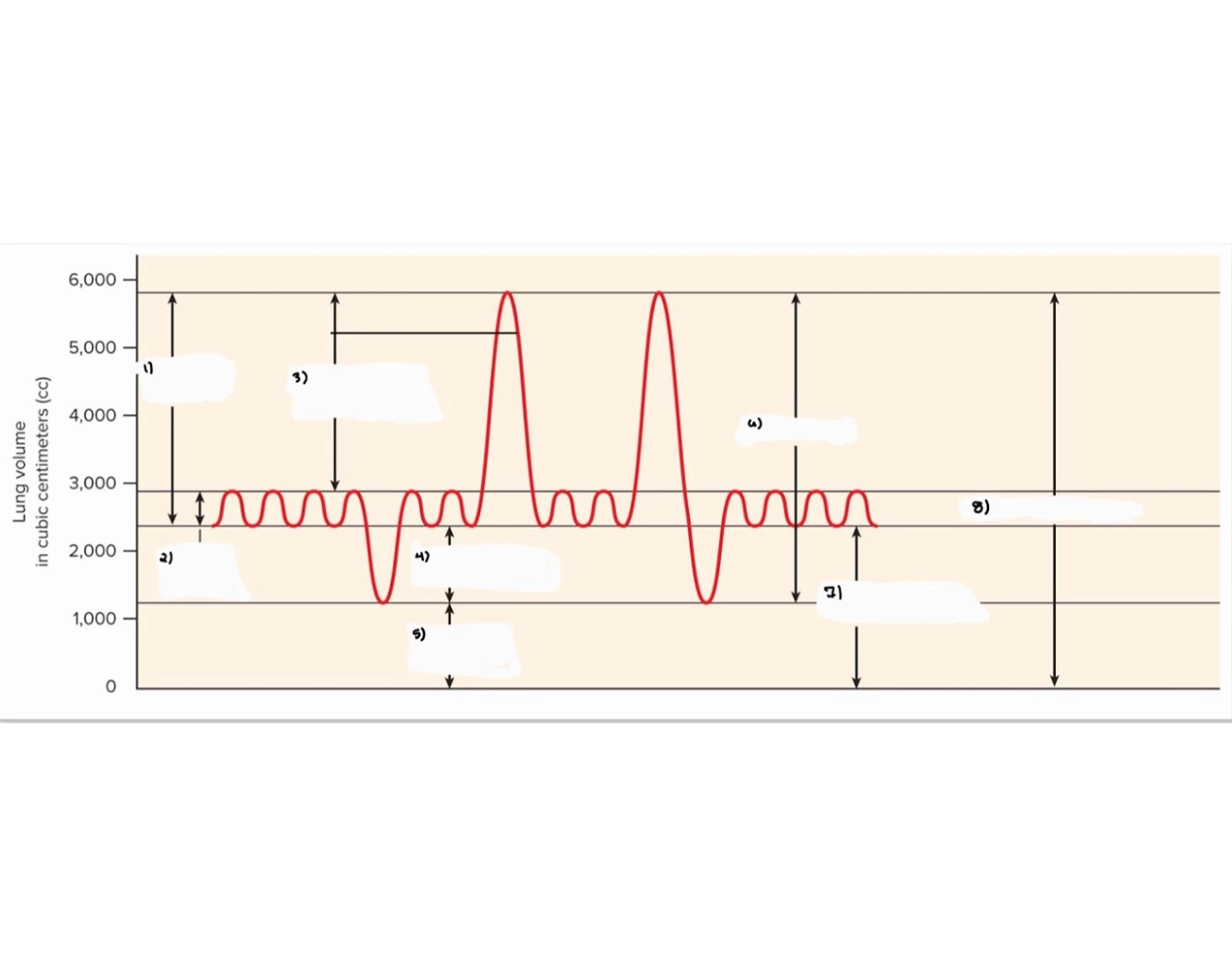 Spirogram Labeling Quiz