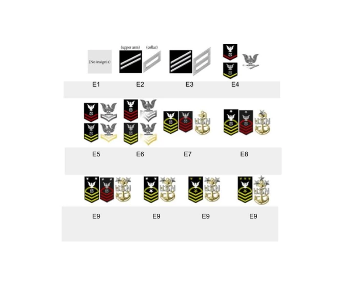 Enlisted Ranks Printable U.S. Navy Enlisted Ranks — Printable Worksheet