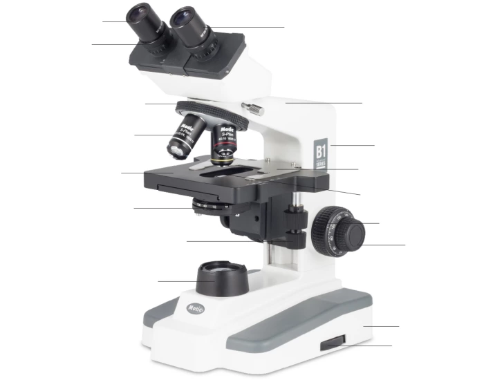 The Compound Light Microscope Labeling Game — Printable Worksheet