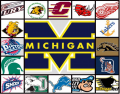 Sports Teams of Michigan