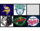 Pro Sports Teams of Minnesota