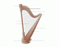 Harp Anatomy