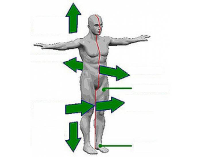 Directional Movement Example Directional terms of movement Quiz