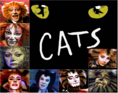 'Cats' The Musical