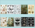 Haeckel's Artforms of Nature (part 2)