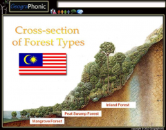 Cross-section of forest types in Malaysia
