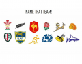 RUGBY TEAM NAMES