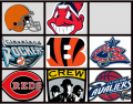 Pro Sports Teams of Ohio